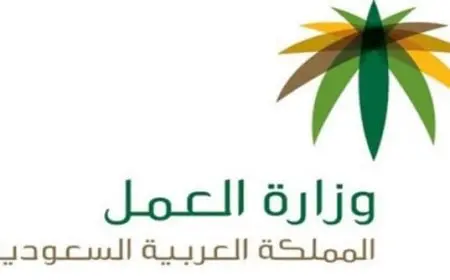 طريقة إصدار رخصة عمل 100 ريال