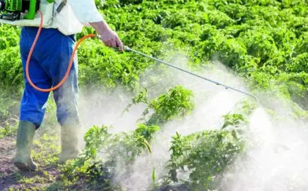 كيف تحصل على صلاحية تجارة المبيدات في مصر؟