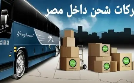 أفضل 7 شركات الشحن داخل مصر وأسعارها وطرق التواصل معها