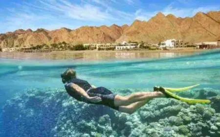 اكبر قبيلة في جنوب المملكة العربية السعودية