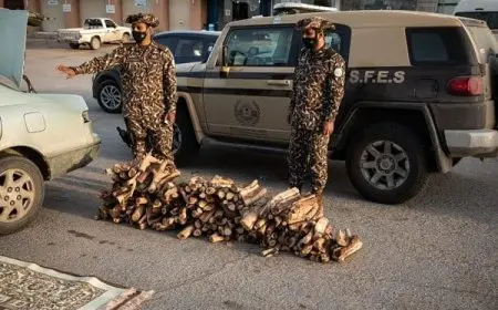 رابط وظائف الأمن البيئي 2024 .. الشروط وطريقة التقديم