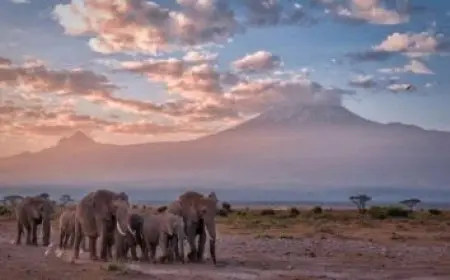 ما هي عملة لبنان الحالية والقديمة؟