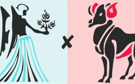 توافق برج الحمل مع العذراء