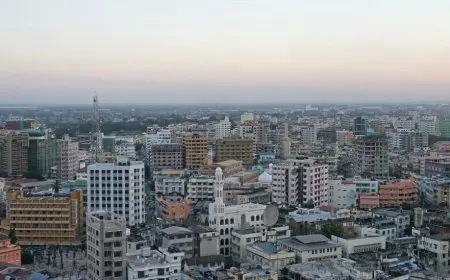 ما هي عاصمة تنزانيا