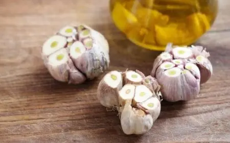 طريقة استخدام زيت الثوم للشعر وفوائده