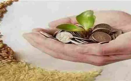 دفع زكاة الفطر اون لاين قطر 2024