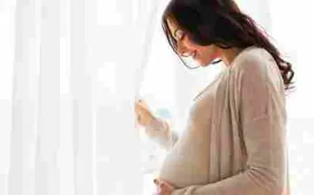 في اي شهر تقل حركة الجنين