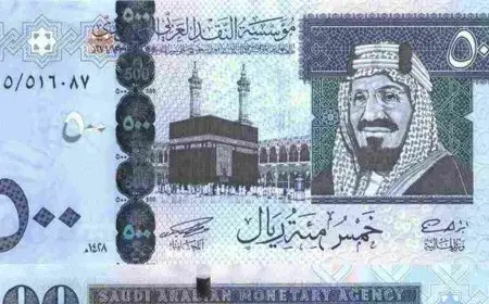 كم دولة عربية عملتها الريال