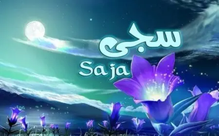 اسم سجي بالإنجليزي