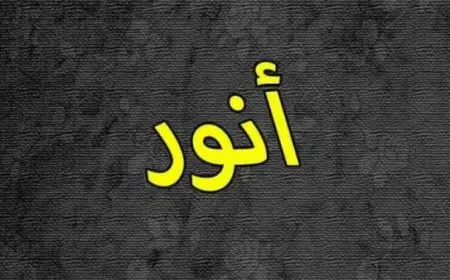 معنى اسم أنور