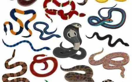 ماذا يسمى صوت الأفعى