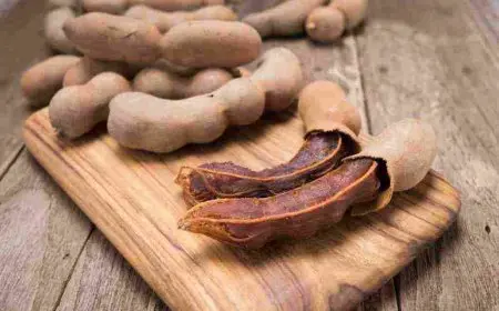 ما هو التمر الهندي وفوائده