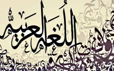 تجربتي مع تخصص اللغة العربية