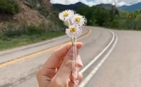 اسم لودي بالإنجليزي