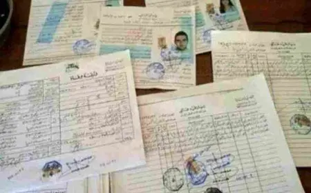 ما هو القيد العائلي .. أماكن استخراج قيد عائلي مستعجل