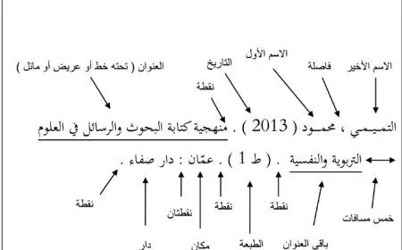 طريقة كتابة المراجع APA
