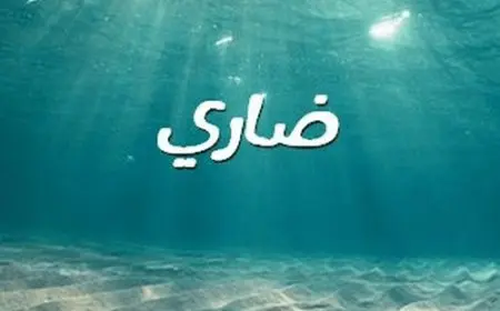 معنى اسم ضاري