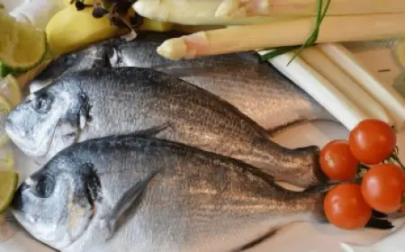 أضرار وجود الوزغ في البيت