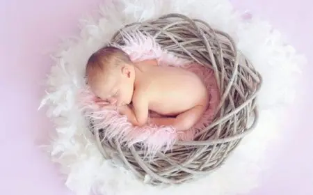 معنى اسم ميلاف