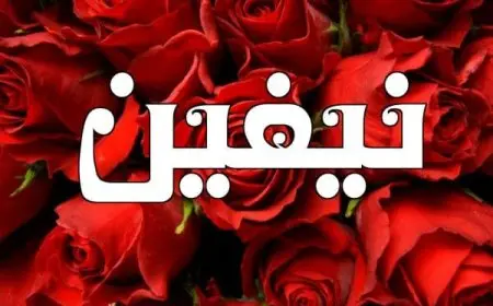 معنى اسم نيفين في الحلم