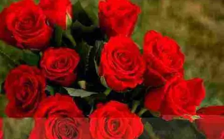 أجمل ورود في العالم 2024