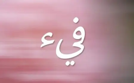 معنى اسم فَيّء