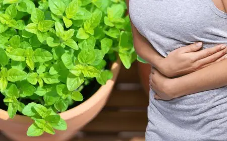 علاج مغص البطن بالأعشاب