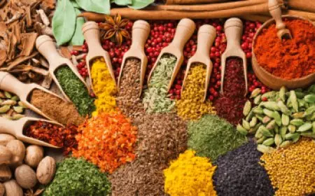 إجازة عيد الأضحى في الإمارات 2024