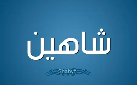 معنى اسم شاهين