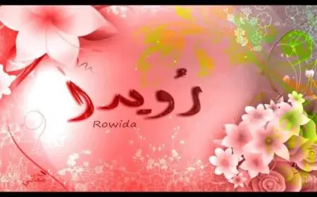 معنى اسم رويدا