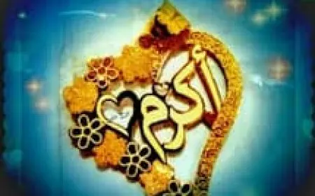 معنى اسم أكرم في المعجم