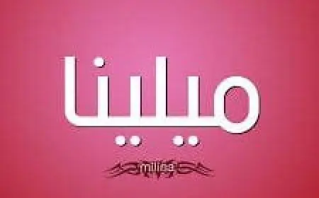معنى اسم سامر