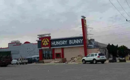 رقم الارنب الجائع الخفجي