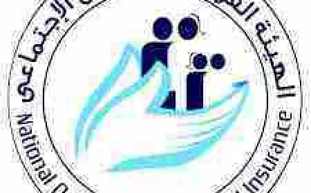 الهيئة القومية للتأمين الاجتماعى صندوق العاملين بالقطاع العام والخاص