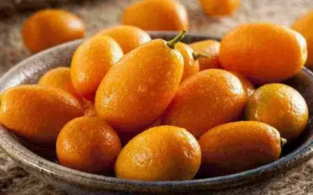 كيفية العناية بشجرة البرتقال