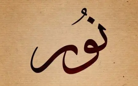 معنى اسم نور في القرآن الكريم