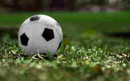 كلام عن كرة القدم