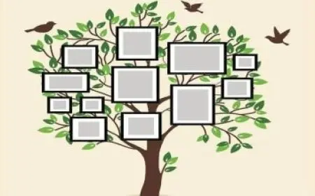 رابط نظام نور للاستعلام عن حركة النقل الداخلي للمعلمين والمعلمات