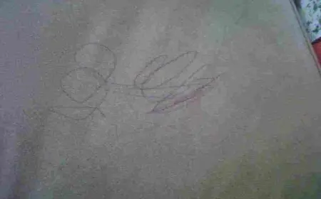 إزالة الحبر من الكنب