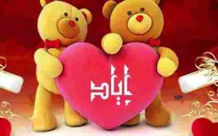 ما معنى اسم اياد