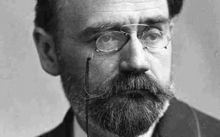 مجالات علم الاجتماع