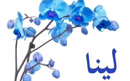 اسم لينا بالإنجليزي