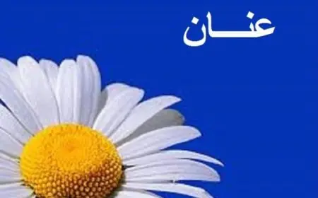 معنى اسم عنان
