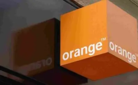 التحليل النفسي عن طريق لغة الجسد وما هي أساسيات لغة الجسد