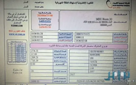 كيف اطلع فاتورة كهرباء