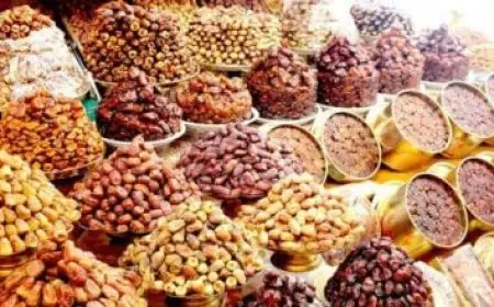 كم عدد أسنان السلحفاة