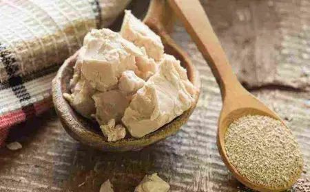 فوائد خميرة بيرة لزيادة الوزن