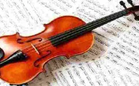 معلومات عن آلة الكمان