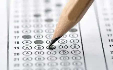 طريقة عمل كفتة اللحم في البيت