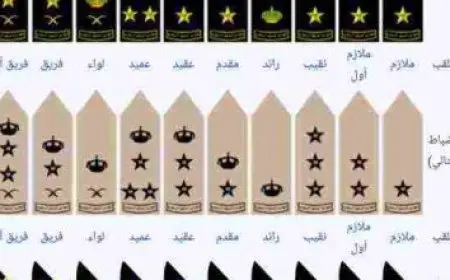 عدد سكان امريكا 2024